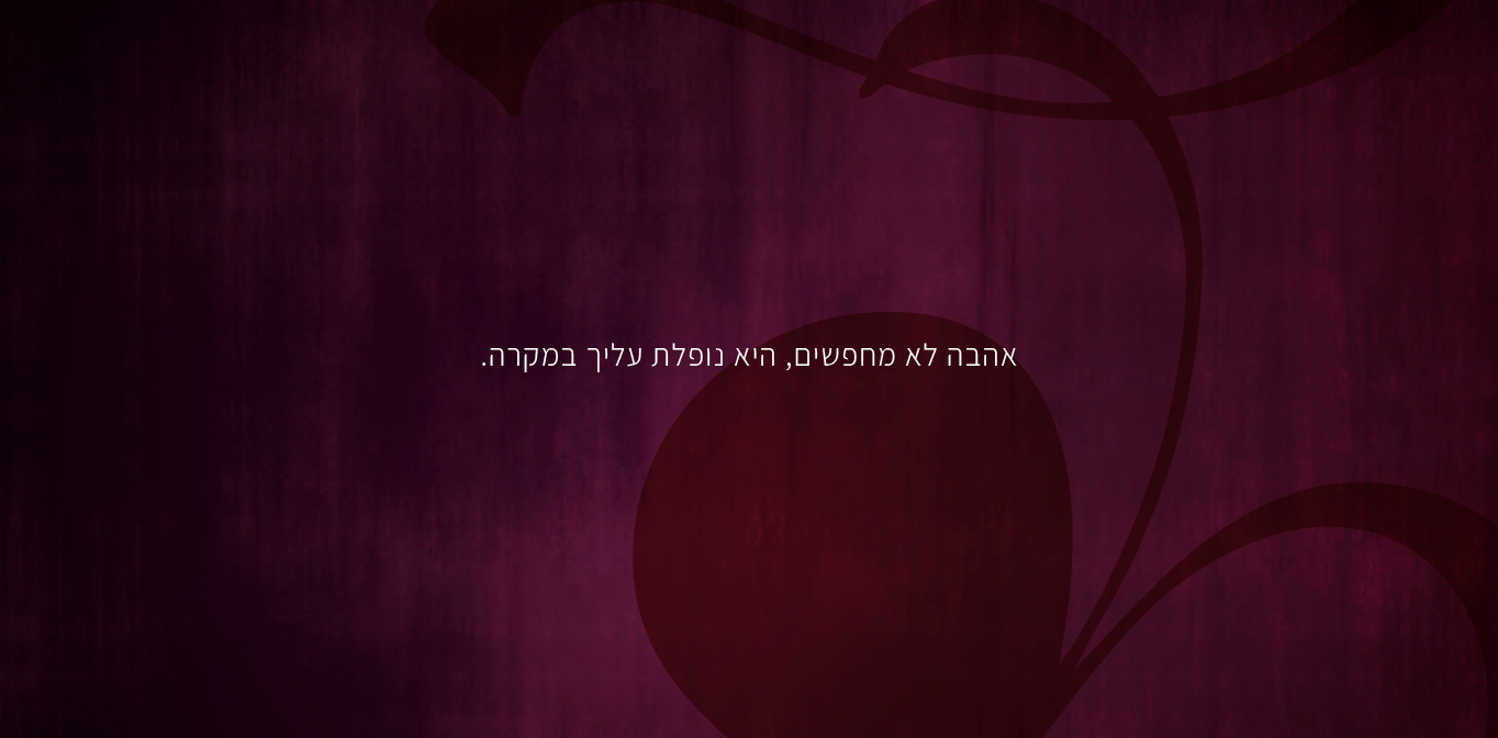אהבה לא מחפשים, היא נופלת עליך במקרה
