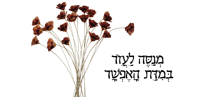 Maarag - מנסה לעזר במידת האפשר