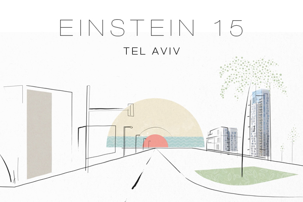Einstein 15
