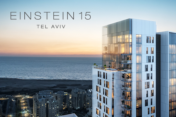 Einstein 15